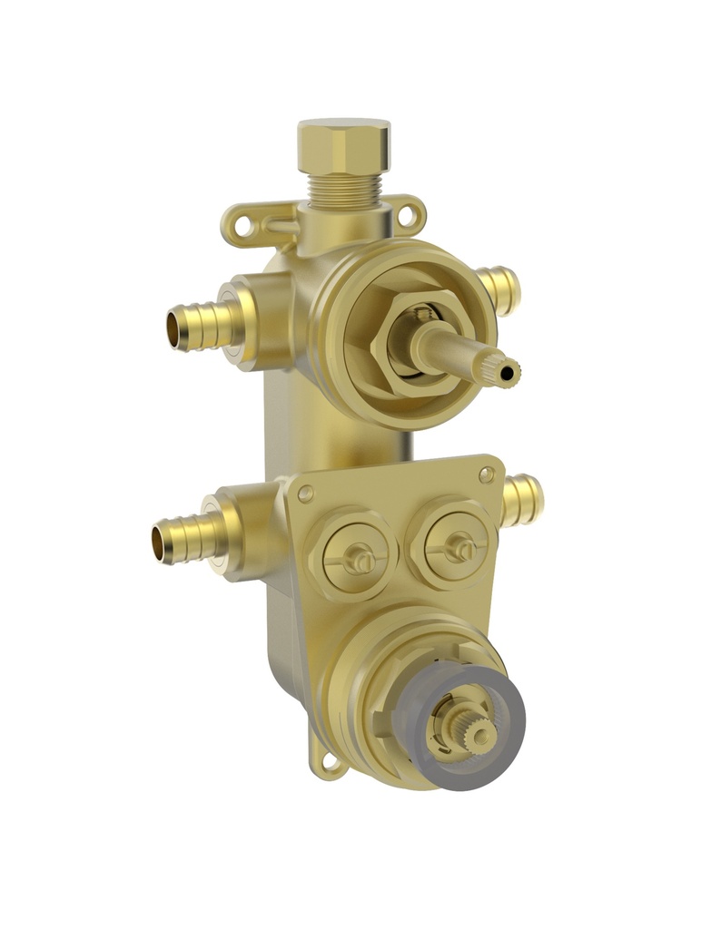 d- Brut de valve t/p 2 voies pex