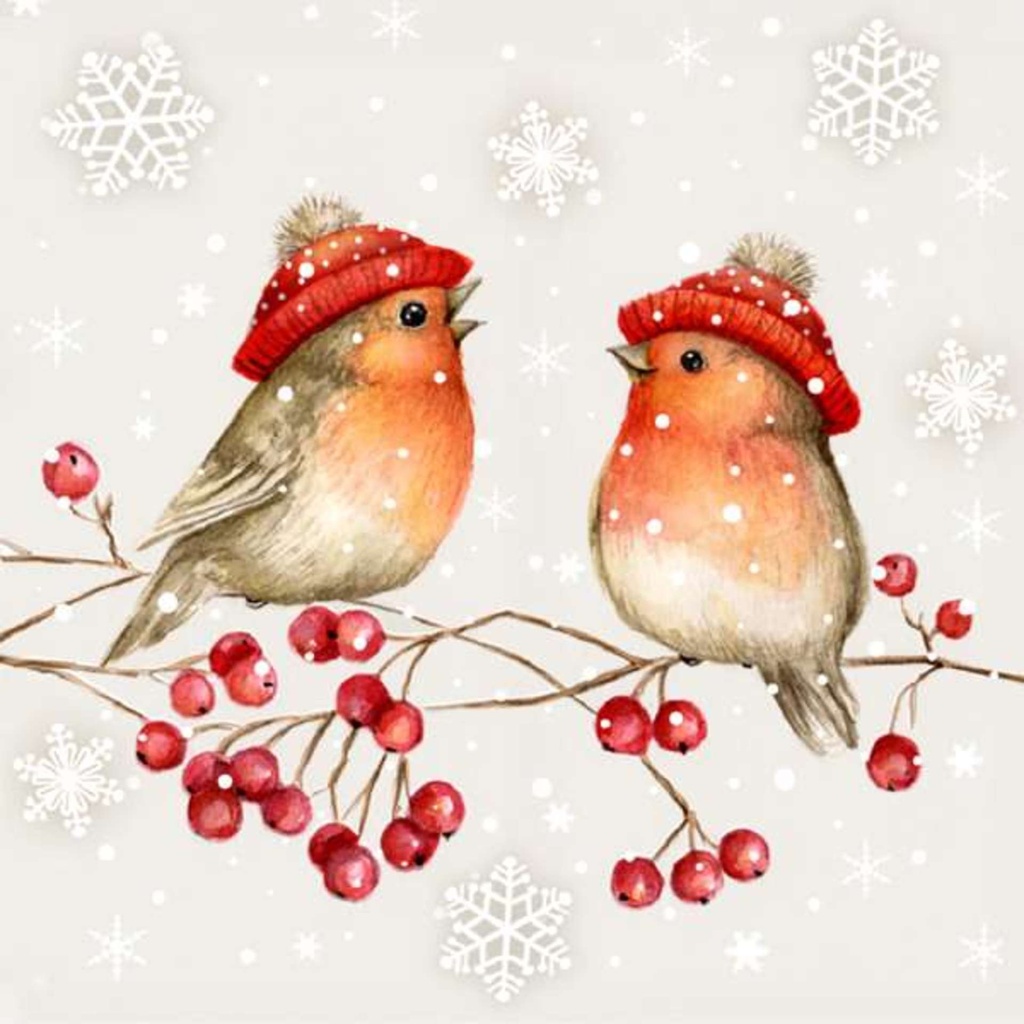 Serviette de table 2 oiseaux sur branche