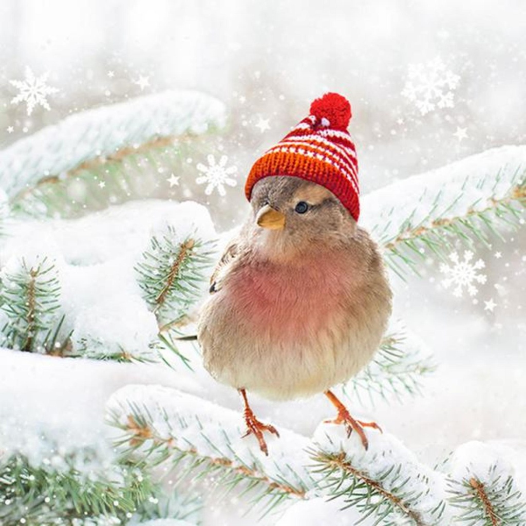 Serviette de table oiseau sur neige