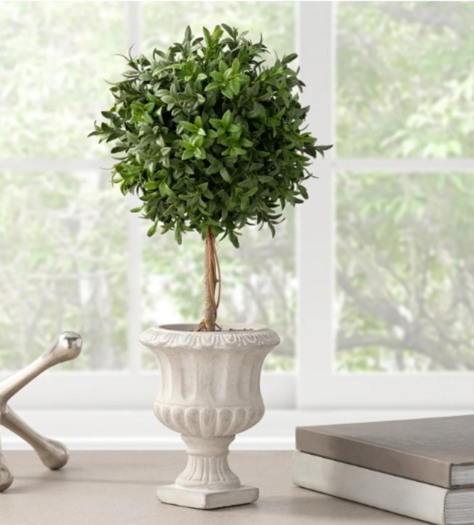 [5TT-903964A] Arbuste arabella en pot gris 18h