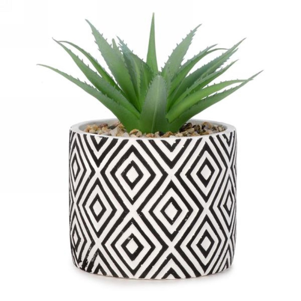 Cactus en pot avec losange noir/blanc
