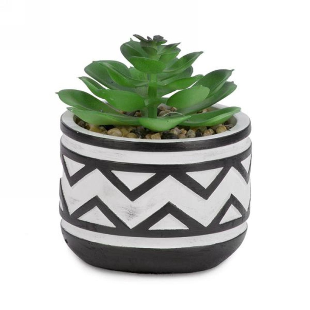Plante en pot avec triangle noir/blanc