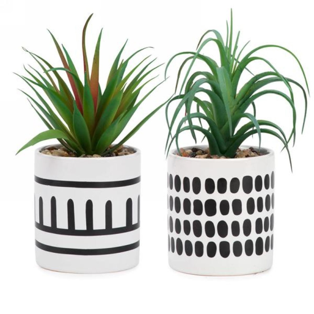 Plante en pot azteque noir/blanc assortie/vendu a l'unite