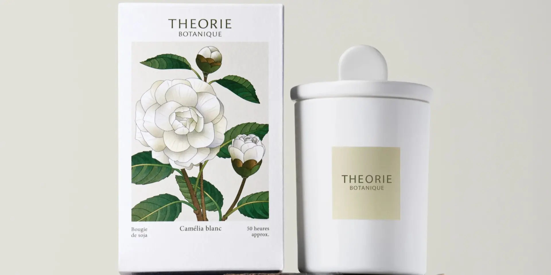 Chandelle camelia blanc 50 heures