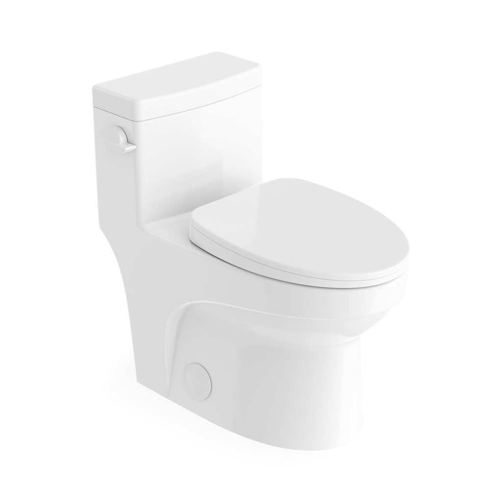 Toilette adams allongée clanche latéral blanc