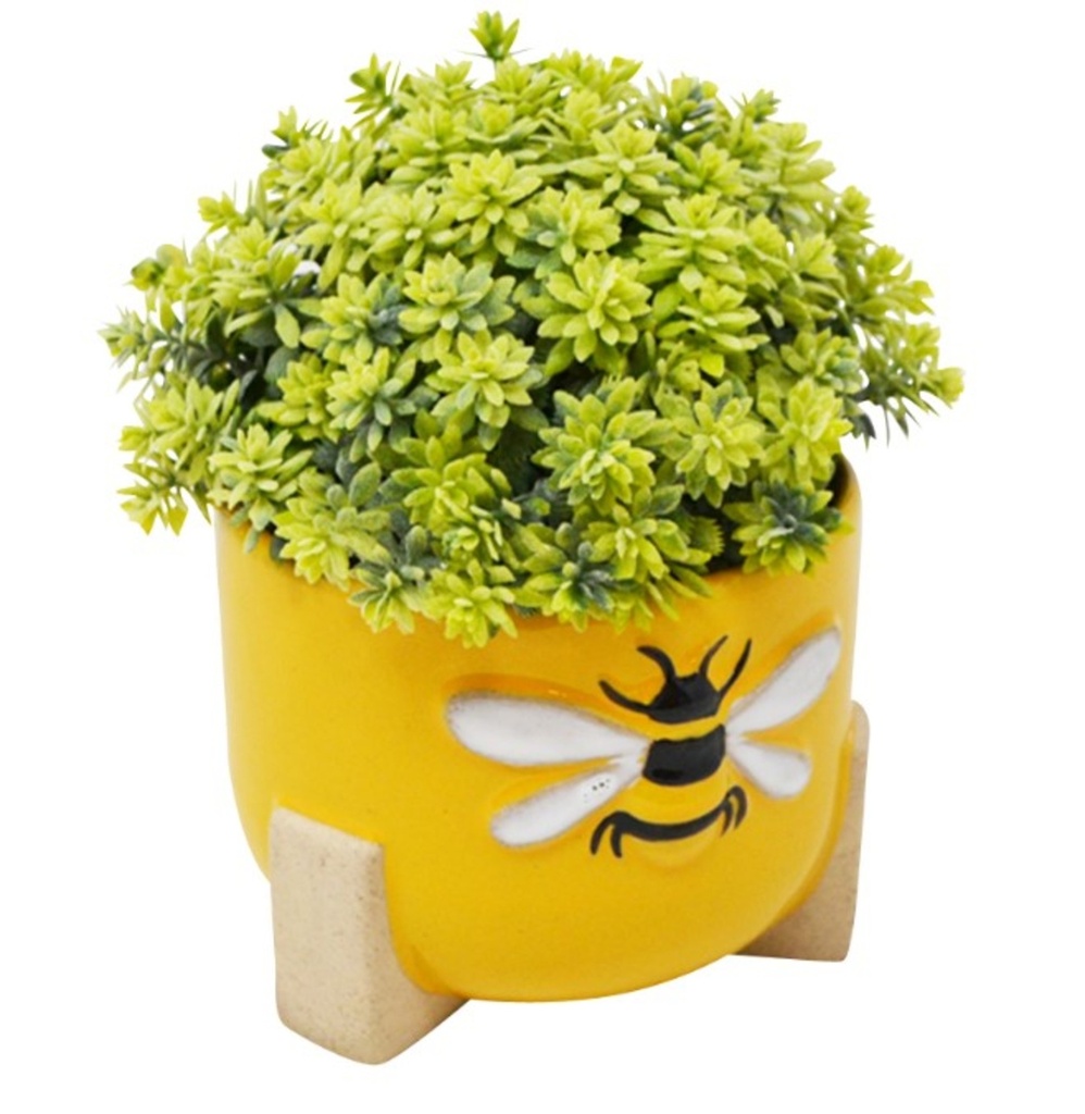 Pot a plante sedum abeille 12,5 x 12,5 x 1 jaune
