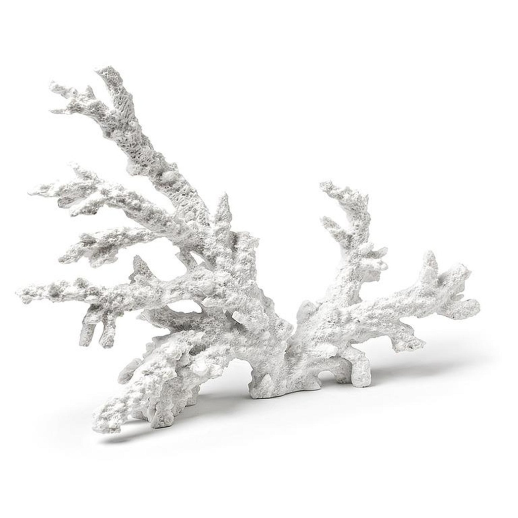 Petit corail 6po de large blanc