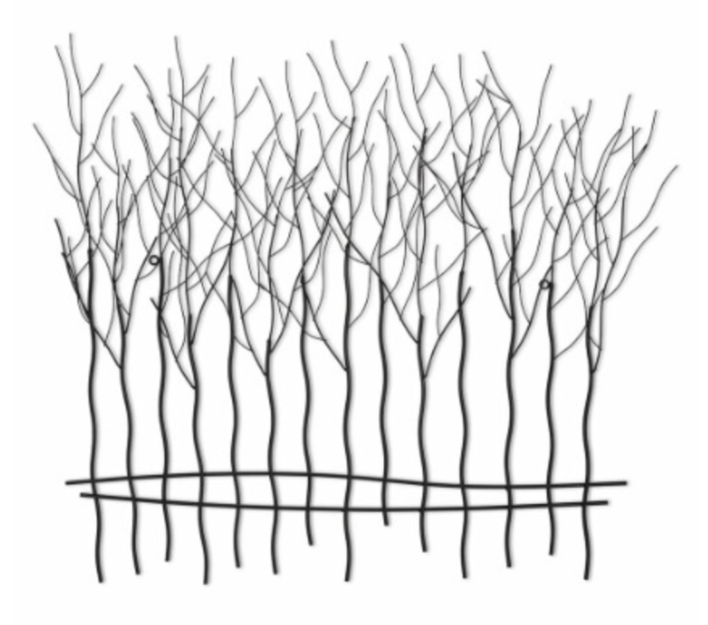 [5AB-27-GROVE-LG-BLK] Arbre murale en metal noir 33po