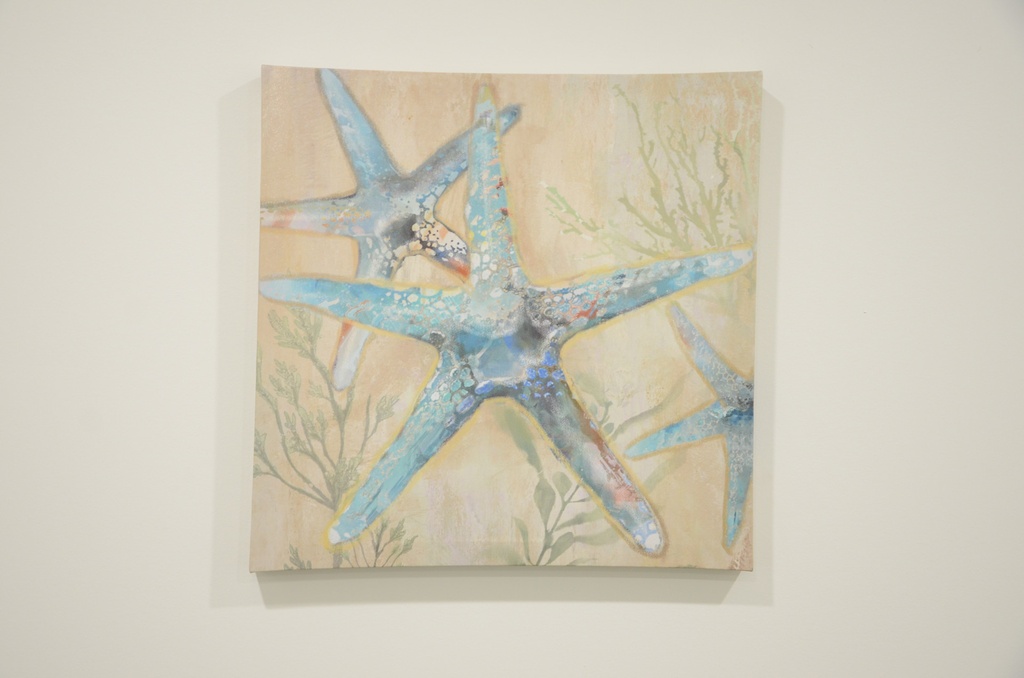 Cadre etoile de mer bleue et algue 15 x 15po
