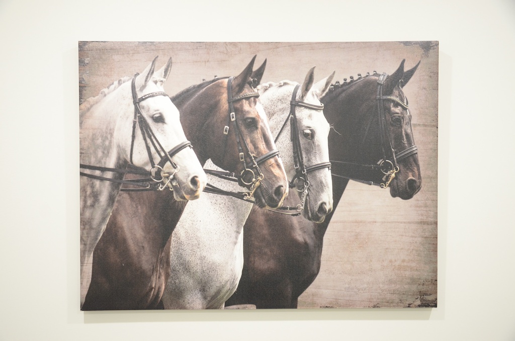 Cadre 4 chevaux 31.5 x 23.5po