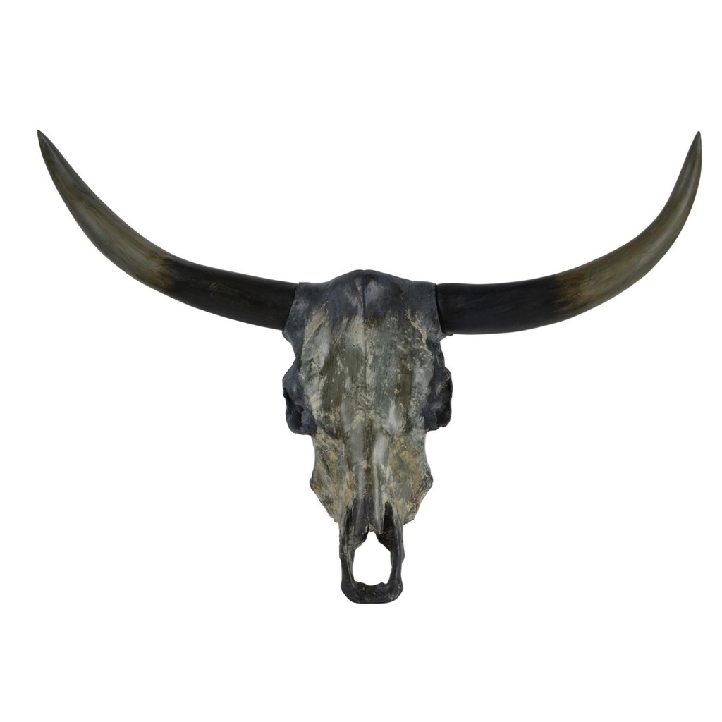Discontinué - Crâne de taureau longhorn installation murale teinte foncée